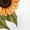 White, variant on UNISHE Women's Sunflower Monarch Butterfly Vintage Graphic Short Sleeve T-Shirt Retro Floral Cotton Crewneck Top