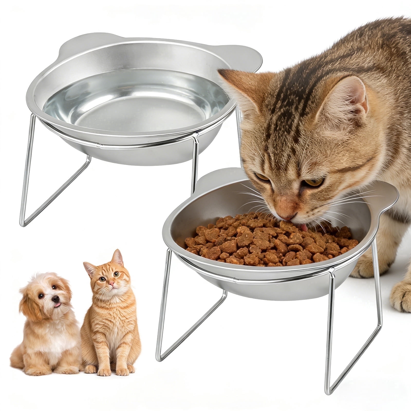 Evjurcn Elevated Cat Bowls, Anti Vomiting Cat Bowl with 15° Tilted Stand, Whisker Friendly Stainless Steel Raised Pet Feeder for Indoor Cats, 2 Pack