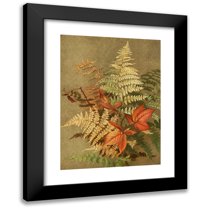 Ellen Fisher 11x14 Black Modern Framed Museum Art Print Titled - Autumn Ferns (1887)