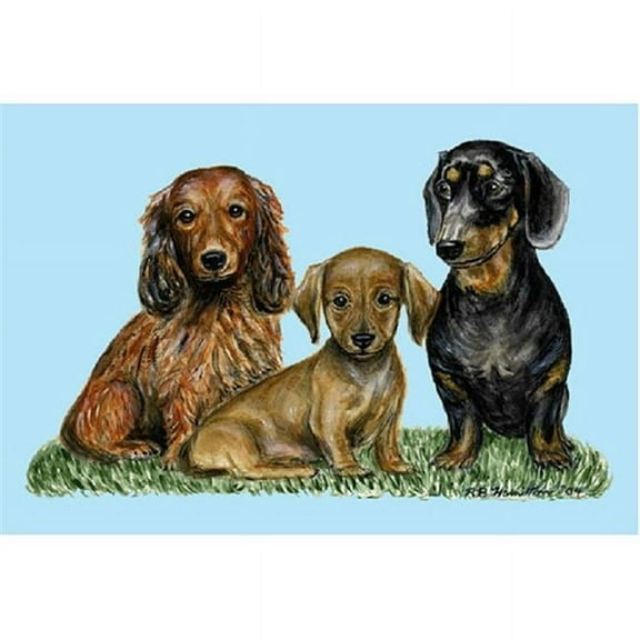 Betsy Drake DM074G Dachshunds Door Mat 30''x50''