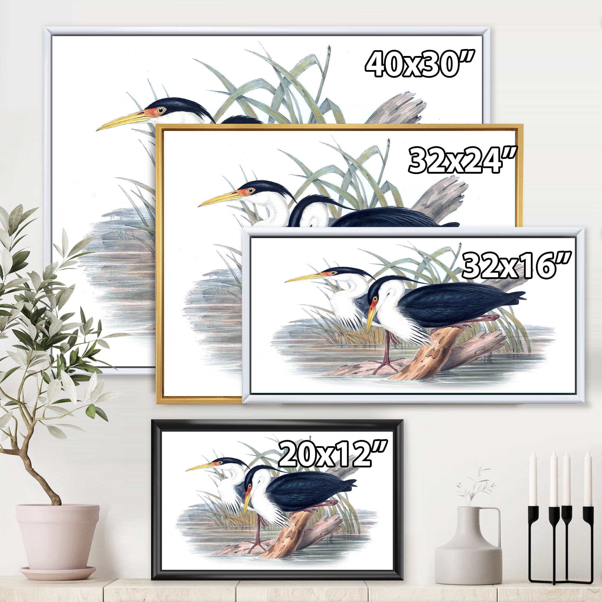 Designart 'Ancient Bird Life II' Traditional Framed Canvas Wall Art Print