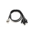 thumbnail image 3 of Warm Audio PREM-DB25-XLRM-20 Premier 20’ DB25 To Male XLR Cable, 3 of 3