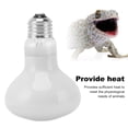 thumbnail image 3 of Reptile Heat Bulb Night And Day, E27 Interface Reptile Heat Lamp Fixture, Heat Lamp For Amphibians, Animal, 3 of 8