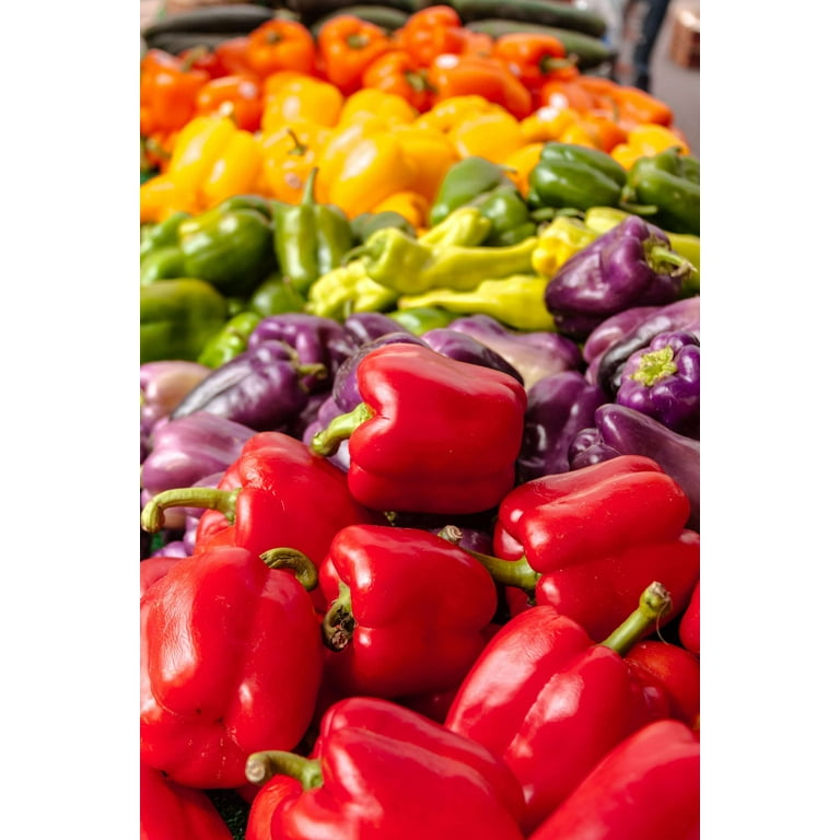 150 Rainbow Bell Pepper Seeds - Red, Green, Yellow, Orange, Purple