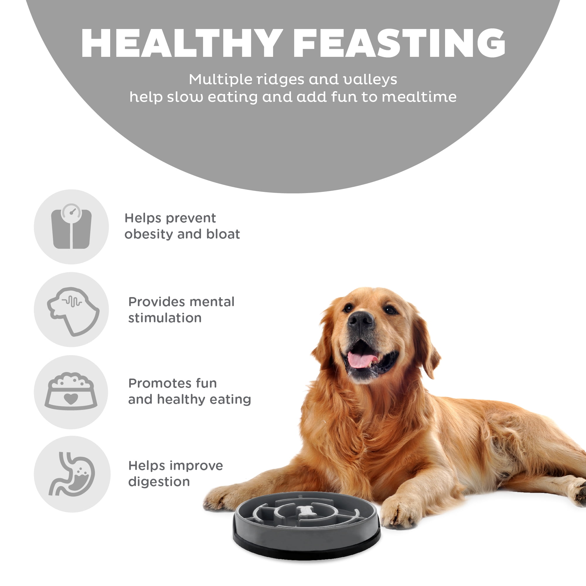(2 pack) Outward Hound Fun Feeder Maze Gry LG