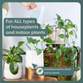 thumbnail image 2 of The Complete Plant Care Bundle (Plant Food + ProBiotics + Natural Pest Control) for HOUSEPLANTS, 2 of 6
