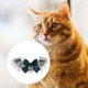 thumbnail image 1 of unbranded Collar Para Mascotas Con De Encaje Ajustable Y Acabado Exquisito, 1 of 7