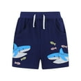 thumbnail image 2 of HOMADLES Toddler Boys Shorts Print Solid Loose Casual Shorts Blue 3 T, 2 of 6
