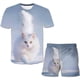 thumbnail image 2 of 2023 gatos nuevos conjuntos de ropa de verano para niños y niñas, camisetas y pantalones cortos de manga corta encantadores de dibujos animados, 2 uds., traje informal de cuello redondo, trajes 11T Gao Jinjia LED, 2 of 2