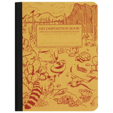 Desert Animals Decomposition Book