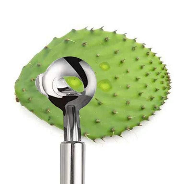 Uxgjfwu 4 Pcs Cactus Peeler Tool Stainless Steel Manual Slicer For Kitchen  Cooking Multi Function Includes Noodle Cutter Accessories - Walmart.com