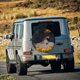 thumbnail image 5 of Balery Elegant Lady With Hat Cubiertas para Neumáticos - Protector Resistente para Neumáticos de Camioneta, SUV, Remolque, Camper y RV-17 inch, 5 of 6