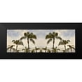 thumbnail image 2 of Blaustein, Alan 18x9 Black Modern Framed Museum Art Print Titled - Palm Banner - 2 - Color, 2 of 5