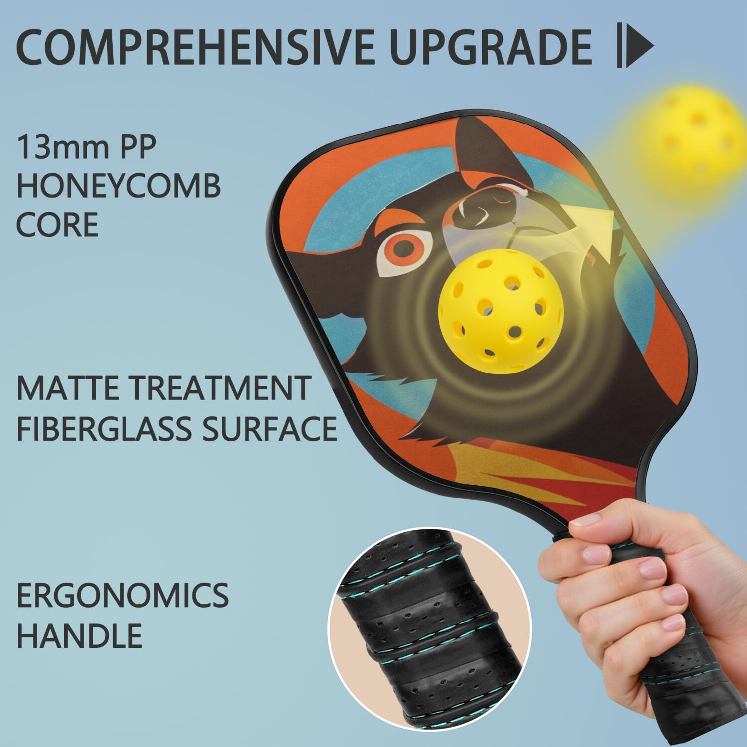Pickleball Paddles Set Of 2, Fiberglass Surface, Astonished Dog Print, 4 Balls & Bag