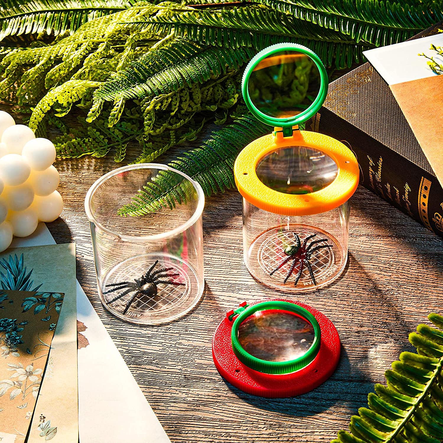 Details about   Clear Bug Observe Box Jar Holder Container Insect Viewer Magnifier Kids Toy 2.5" 