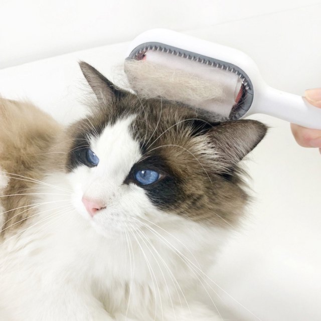 Pet Cat Hair Comb Limpieza de alfombras Elimina pelusas Brush (Long Hair Pink) Ndcxsfigh Para estrenar
