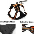 thumbnail image 5 of Mr. Peanut's PetTrek Harness With Matching Leash - Medium Blue, 5 of 9