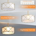 thumbnail image 6 of Sofucor 20" Gold Caged Ceiling Fan with Light, Fabric Shade, Quiet DC Motor, 6-Speed Remote Control, Reversible, Timer, 2 Downrods, E26 Base (6 Bulbs Included), 6 of 10