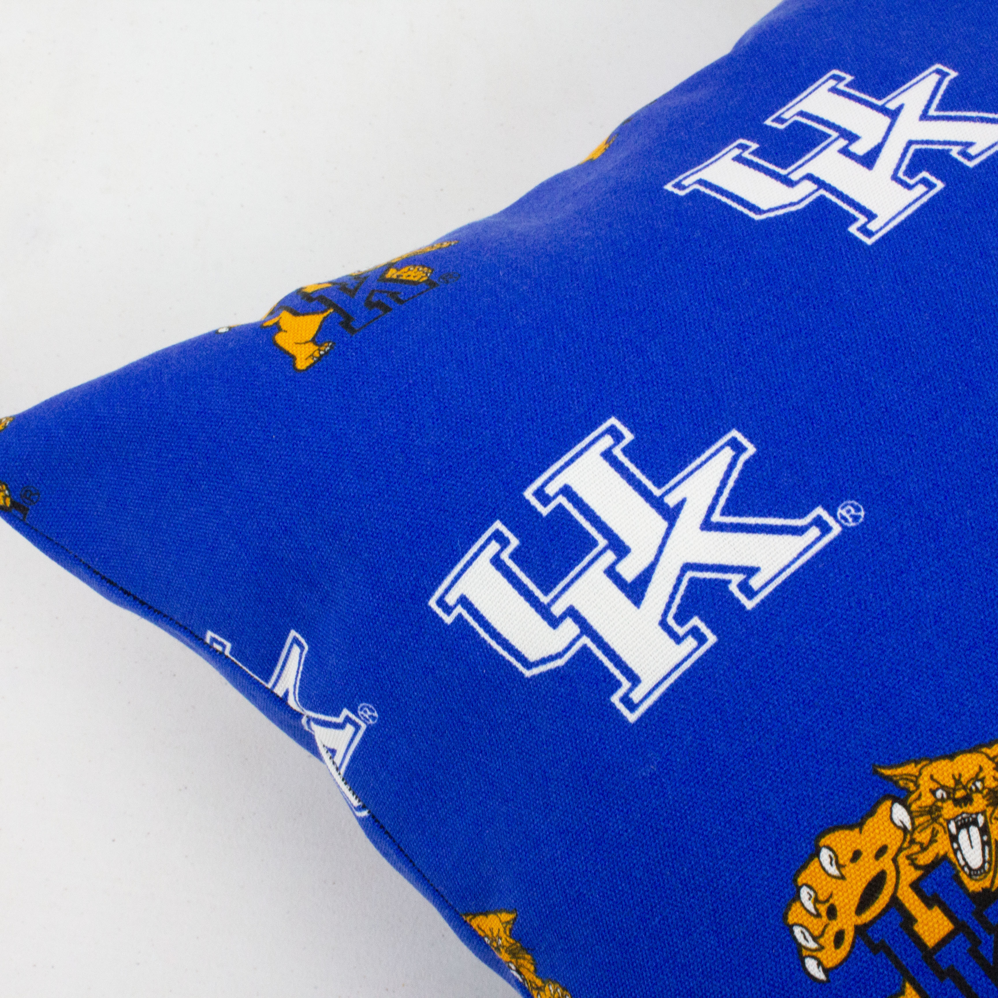 Kentucky Wildcats College Covers Indoor or Outdoor Decorative Pillow 16 in x 16 in