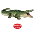thumbnail image 4 of Beistle  Jointed Crocodile Decoration with One-Sided Printed - Pack of 12, 4 of 7