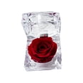 thumbnail image 2 of Preserved Rose Real Fresh Rose in Mini Clear Ring Box, Eternal Flower Rose Gifts for Women Mom Girlfriend Grandma, Mothers Day, Anniversary, Valentines, Christmas, Birthday (Red), 2 of 6
