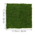 thumbnail image 2 of unbranded 2Ud Tapete De Musgo Artificial Para De Patio Y Jardín Resistente Y Ligero, 2 of 6