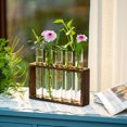 thumbnail image 2 of Tabletop Hanging Glass Planter Propagation Station Modern 5 Test Tube Flower Bud Vase in Wood Stand Rack Tabletop Terrarium for Hydroponic Plants Cuttings Office Home Decoration, Gift for Plant Lover, 2 of 6