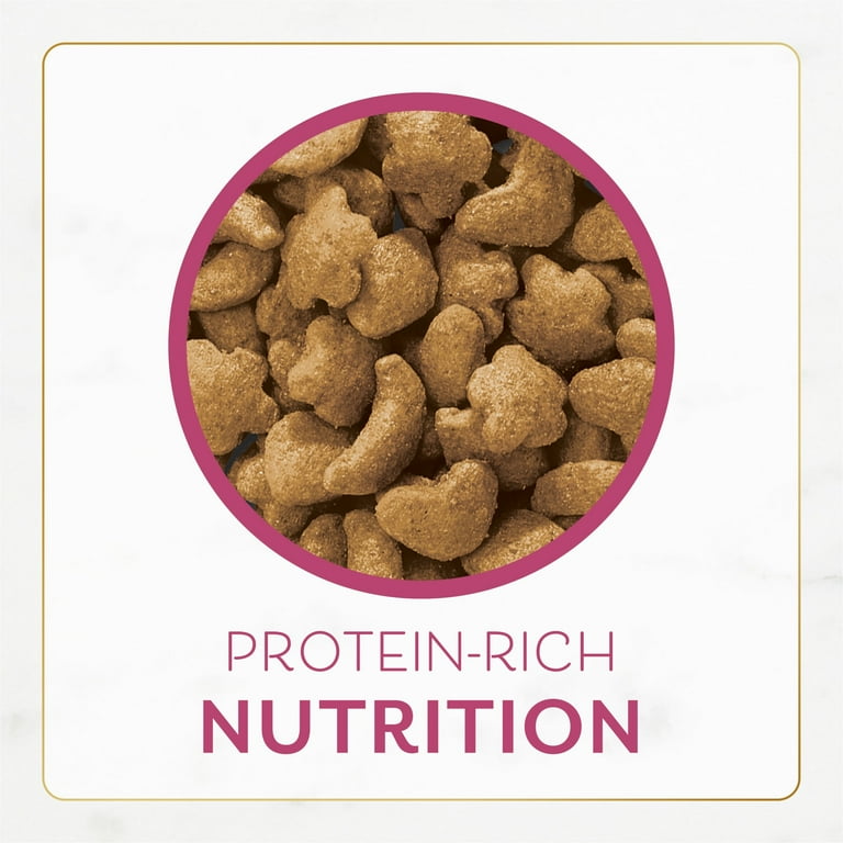 Purina Fancy Feast Gourmet Dry Cat Food, Filet Mignon Flavor with