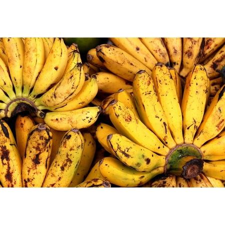 10 Assortment - Canvas Print Bananas Display Fruits Colorful Assortment Stretched Canvas 10 x 14