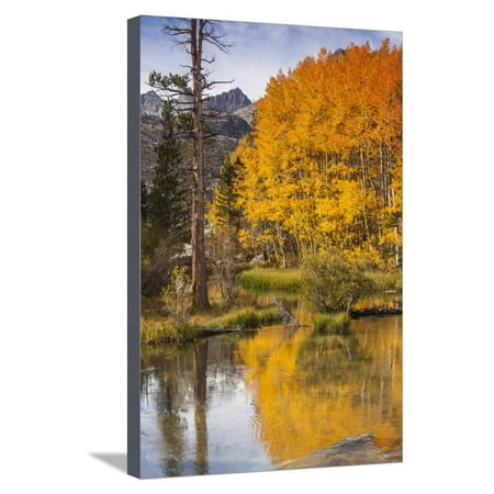 Eastern Sierra, Bishop Creek, California Outlet and Fall Color Stretched Canvas Print Wall Art By Michael