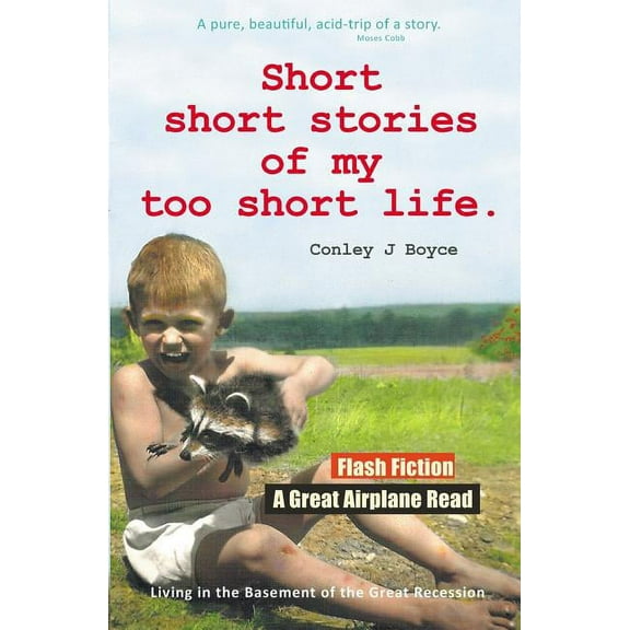 Short Short Stories of My Too Short Life (Paperback)