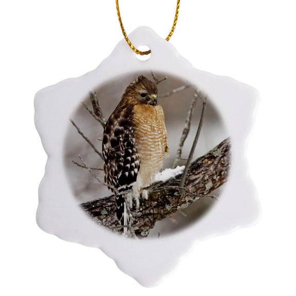 3drose, Red-shouldered Hawk, Bird, Kentucky - Us18 Aje0490 - Adam Jones, 3 inch Snowflake Porcelain Ornament