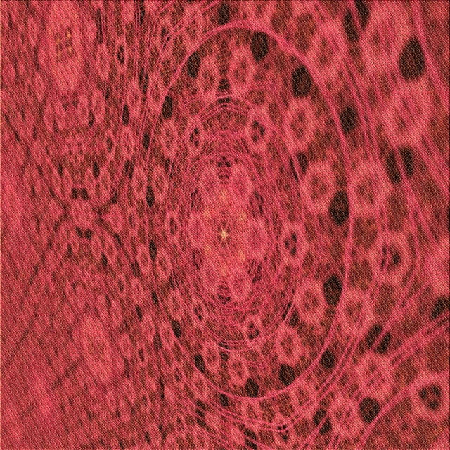 Ahgly Company Tapis d'Intérieur Lavable en Machine Carré Rouge Transitionnel, 5 Pieds Carré