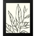 thumbnail image 2 of Vess, June Erica 20x24 Black Modern Framed Museum Art Print Titled - Tropical Contour II, 2 of 5
