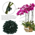thumbnail image 6 of Phalaenopsis Orchid Flower Clips | 20PCS Plastic Plant Support Fixing Clamps | Horticultural Vine Branch Holders | Durable Garden Accessories for Stable, Neat Floral Arrangements | Easy to Use, 6 of 9