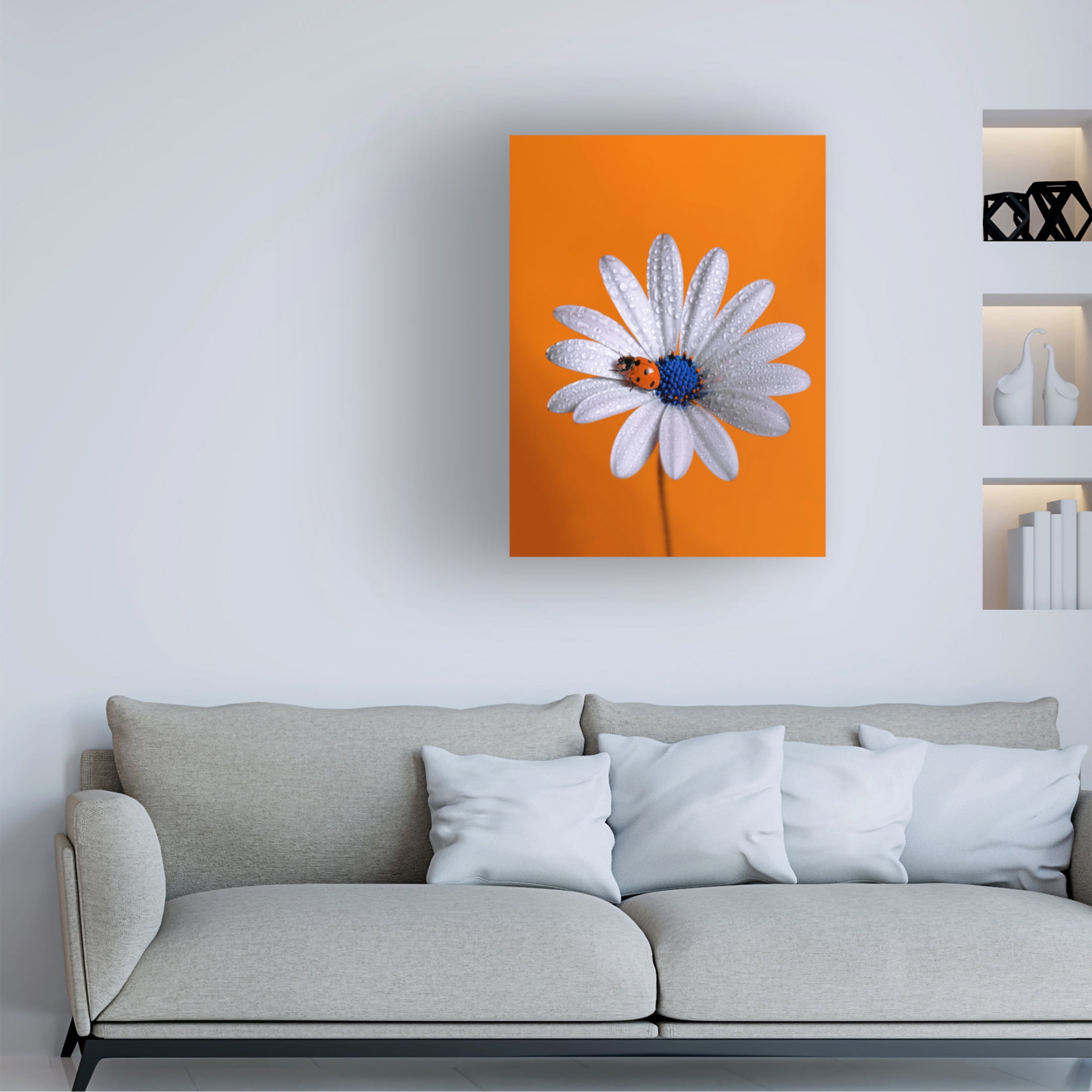 Trademark Fine Art Boutaiba Naoui Ladybug Canvas Wall Art