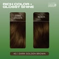thumbnail image 2 of Clairol Natural Instincts Demi-Permanent Hair Color Creme, 4G Dark Golden Brown, Hair Dye, 1 Application, 2 of 11