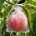 thumbnail image 4 of Fruit Protection Bags XL 7.9x11.8in Organza Drawstring White Insect Barrier Netting Pouches for Orchard Garden Farm Pest Prevention, 4 of 6
