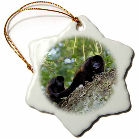 Mantle Decor For Christmas 3dRose Mantled Howler Monkey, Lomas de Barbudal, Costa Rica - SA22 MGL0013 - Miva Stock, Snowflake Ornament, Porcelain, 3-inch ()