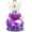 A-purple (Rose, Austin, Baby's Breath, Hydrangea), variant on Gifts for Women Birthday Christmas Preserved Rose Forever Flower in Glass Angel Figurines Fresh Flowers for Delivery for Mom Real Colorful Roses for Grandma Wife Her from Daughter