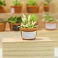 thumbnail image 2 of Casa de muñecas 1/12 Plantas verdes con maceta Simulación de resina Mini Bonsai para Estilo A, 2 of 9