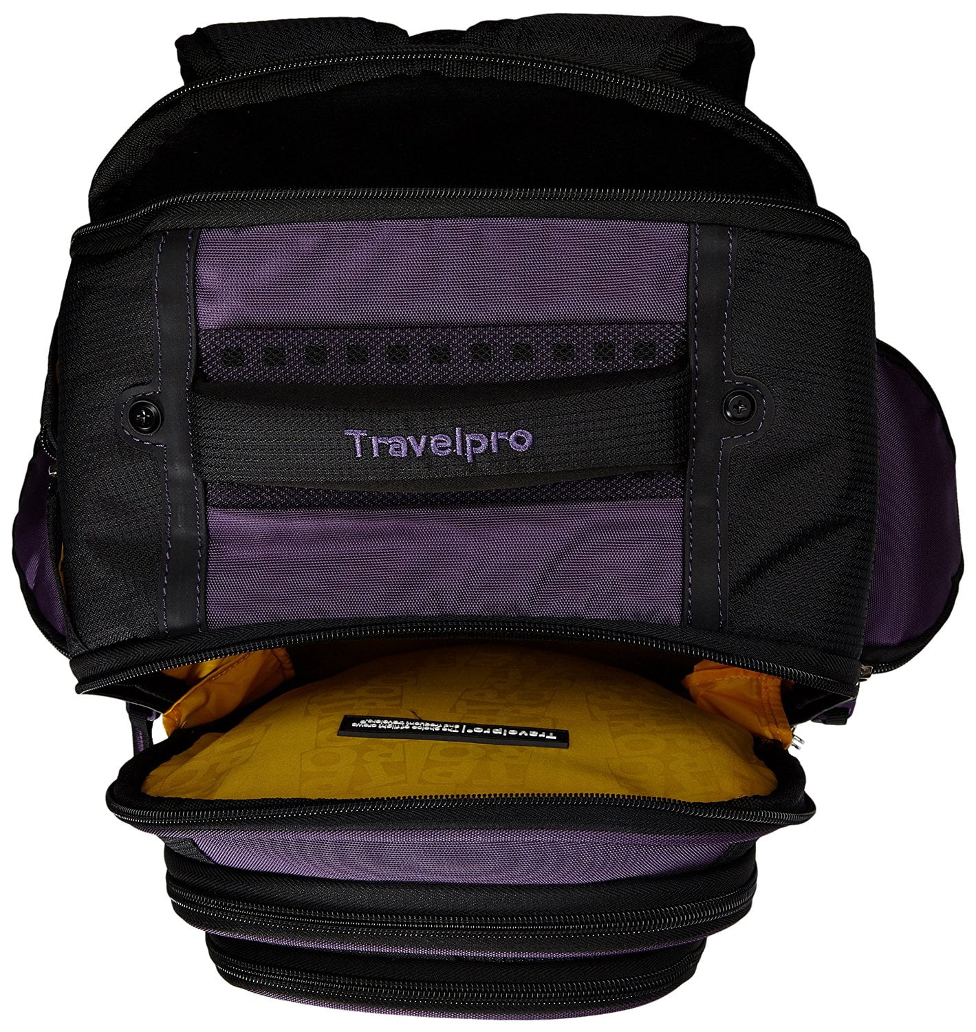 travelpro bold backpack