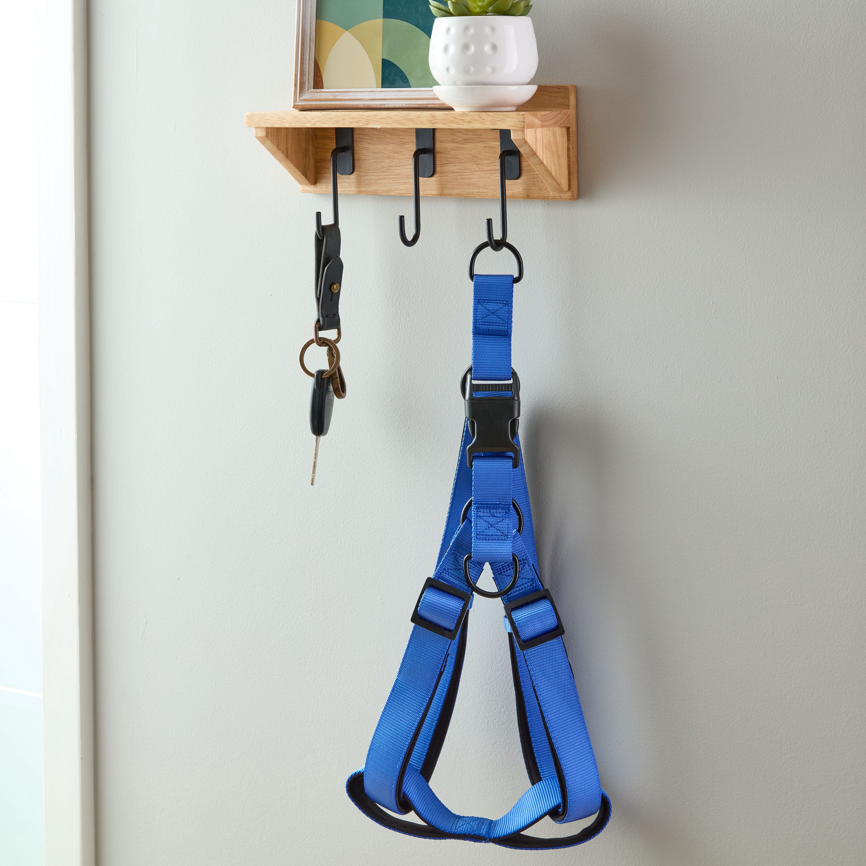 Vibrant Life Polyester Adjustable Step-in Dog Harness, Blue, S