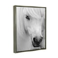 thumbnail image 3 of Elegant White Horse Stallion Animals & Insects Photograph Luster Gray Framed Art Print Wall Art, 3 of 6