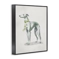 thumbnail image 2 of Stupell Industries French Country Graceful Dog & Ribbon Black Framed Giclee Art, 24 x 30, by Elizabeth Medley, 2 of 8