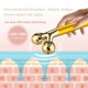 thumbnail image 3 of Kit de masajeador facial Amire Golden 3D Roller Electric Facial, 3 of 8