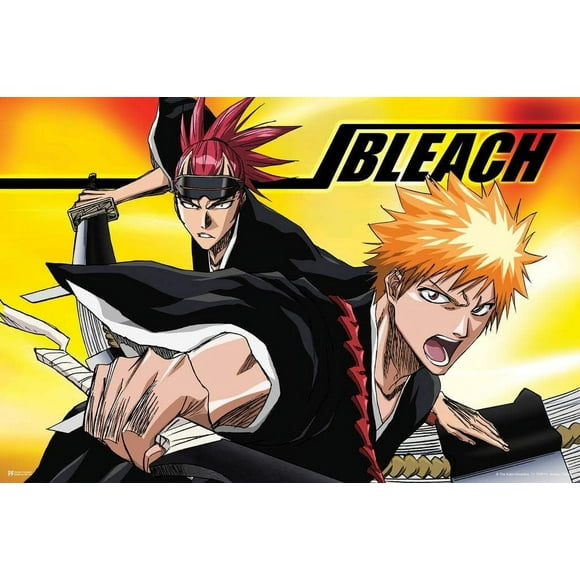 PPHAOSHO Bleach Anime Merch Manga Ichigo Renji Comic Action Character Swords Ichigo Kurosaki Soul Reaper Viz Media Japanese Animation Poster frameless Wall Posters 24x36inch