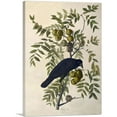 thumbnail image 1 of ARTCANVAS American Crow Canvas Art Print by John James Audubon - Size: 26" x 18" (0.75" Deep), 1 of 9