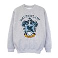 thumbnail image 1 of Harry Potter Chandail en Molleton Garçon Ravenclaw, 1 of 6