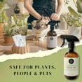 thumbnail image 4 of Neem Oil Spray Kit for Plants, Makes Five 16 fl oz - 100% Pure Cold Pressed Neem Spray for Indoor and Outdoor Garden Plants |, 4 of 5